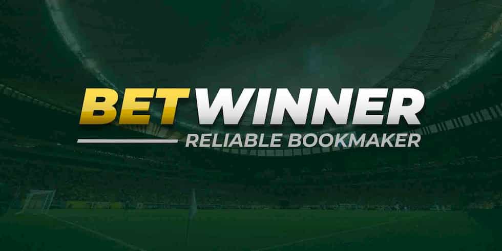 Explore the World of Betting with Baji Live 365 Explore the World of Betting with Baji Live 365